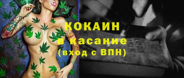 хмурый Алексеевка