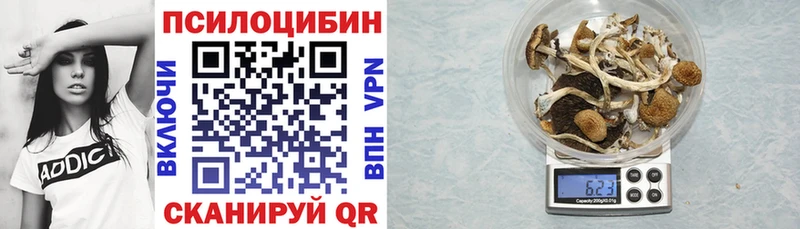 закладки  Амурск  Галлюциногенные грибы Psilocybine cubensis 